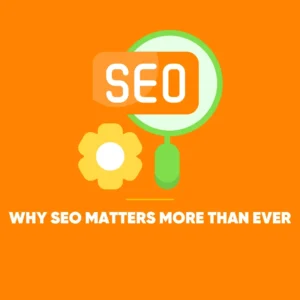Brand Authority SEO